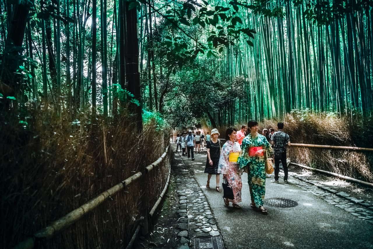 bamboo-trees-bridge-city-daylight-japan