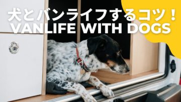 Read more about the article 愛犬との快適な車旅を成功させるコツ【おすすめグッズも！】