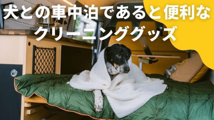 Read more about the article 犬との車中泊であると便利なクリーニンググッズ